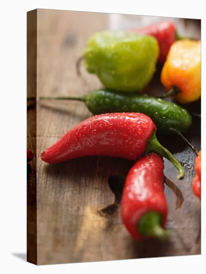 Various Chili Peppers with Drops of Water-null-Stretched Canvas