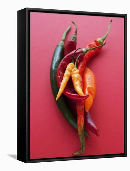 Various Chillies-Malgorzata Stepien-Framed Stretched Canvas