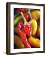 Various Chillies-Winfried Heinze-Framed Photographic Print