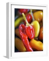 Various Chillies-Winfried Heinze-Framed Photographic Print