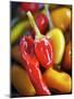 Various Chillies-Winfried Heinze-Mounted Photographic Print