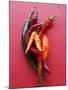 Various Chillies-Malgorzata Stepien-Mounted Photographic Print