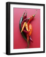 Various Chillies-Malgorzata Stepien-Framed Photographic Print