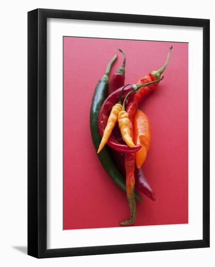 Various Chillies-Malgorzata Stepien-Framed Photographic Print