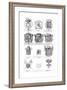 Various Coats of Arms-null-Framed Giclee Print
