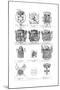 Various Coats of Arms-null-Mounted Giclee Print