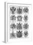 Various Coats of Arms-null-Framed Art Print