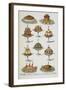 Various Cold Meat Dishes-Isabella Beeton-Framed Giclee Print