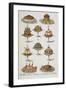 Various Cold Meat Dishes-Isabella Beeton-Framed Giclee Print