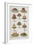 Various Cold Meat Dishes-Isabella Beeton-Framed Giclee Print