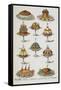 Various Cold Meat Dishes-Isabella Beeton-Framed Stretched Canvas