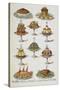 Various Cold Meat Dishes-Isabella Beeton-Stretched Canvas