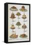 Various Cold Meat Dishes-Isabella Beeton-Framed Stretched Canvas