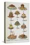 Various Cold Meat Dishes-Isabella Beeton-Stretched Canvas