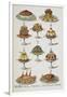 Various Cold Meat Dishes-Isabella Beeton-Framed Giclee Print