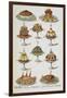 Various Cold Meat Dishes-Isabella Beeton-Framed Giclee Print