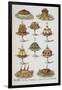 Various Cold Meat Dishes-Isabella Beeton-Framed Giclee Print