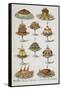 Various Cold Meat Dishes-Isabella Beeton-Framed Stretched Canvas