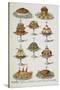 Various Cold Meat Dishes-Isabella Beeton-Stretched Canvas