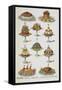 Various Cold Meat Dishes-Isabella Beeton-Framed Stretched Canvas