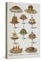 Various Cold Meat Dishes-Isabella Beeton-Stretched Canvas