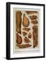 Various Cuts Of Bacon and Ham-Isabella Beeton-Framed Giclee Print