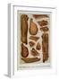 Various Cuts Of Bacon and Ham-Isabella Beeton-Framed Giclee Print