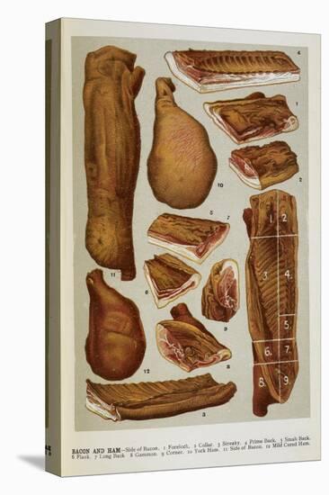 Various Cuts Of Bacon and Ham-Isabella Beeton-Stretched Canvas