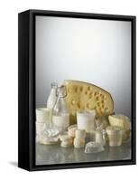 Various Dairy Products and Cheese-Daniel Czap-Framed Stretched Canvas