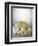 Various Dairy Products and Cheese-Daniel Czap-Framed Premium Photographic Print