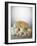 Various Dairy Products and Cheese-Daniel Czap-Framed Photographic Print