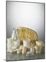 Various Dairy Products and Cheese-Daniel Czap-Mounted Photographic Print