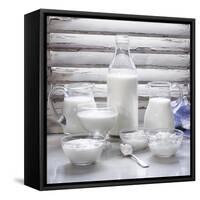 Various Dairy Products in Front of Window Frame-Peter Rees-Framed Stretched Canvas