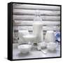 Various Dairy Products in Front of Window Frame-Peter Rees-Framed Stretched Canvas