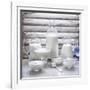 Various Dairy Products in Front of Window Frame-Peter Rees-Framed Photographic Print