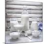Various Dairy Products in Front of Window Frame-Peter Rees-Mounted Photographic Print
