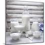 Various Dairy Products in Front of Window Frame-Peter Rees-Mounted Photographic Print