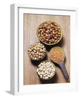 Various Dried Pulses-Eising Studio - Food Photo and Video-Framed Photographic Print