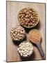 Various Dried Pulses-Eising Studio - Food Photo and Video-Mounted Photographic Print