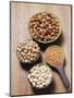 Various Dried Pulses-Eising Studio - Food Photo and Video-Mounted Photographic Print