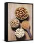 Various Dried Pulses-Eising Studio - Food Photo and Video-Framed Stretched Canvas