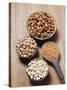 Various Dried Pulses-Eising Studio - Food Photo and Video-Stretched Canvas