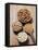 Various Dried Pulses-Eising Studio - Food Photo and Video-Framed Stretched Canvas