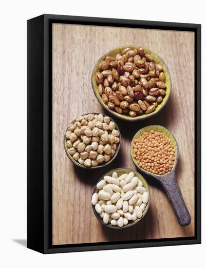 Various Dried Pulses-Eising Studio - Food Photo and Video-Framed Stretched Canvas