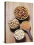 Various Dried Pulses-Eising Studio - Food Photo and Video-Stretched Canvas