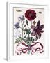 Various European Insects and Flowers-Maria Sibylla Graff Merian-Framed Giclee Print