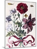 Various European Insects and Flowers-Maria Sibylla Graff Merian-Mounted Giclee Print