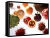 Various Exotic Fruits on a Sheet of Glass-Damir Begovic-Framed Stretched Canvas