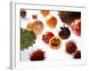 Various Exotic Fruits on a Sheet of Glass-Damir Begovic-Framed Photographic Print