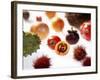 Various Exotic Fruits on a Sheet of Glass-Damir Begovic-Framed Photographic Print